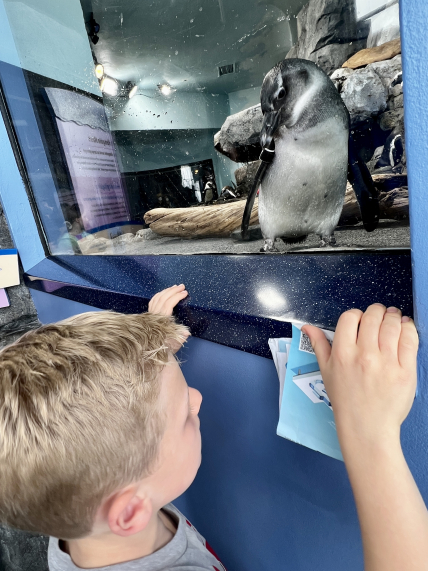 A child holds onto the ledge as he looks at a penguin staring back at him from inside a glass environment. 