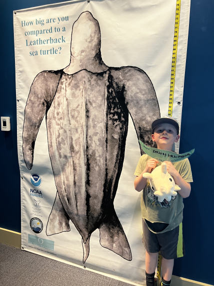 A child stands next to a diagram of a life-size leatherback sea turtle while holding up a stuffed animal and a pledge that reads “keep doing beach clean-ups.” According to a ruler on the diagram, the child is about 50 inches tall while the sea turtle measures about 75 inches from head to tail. 