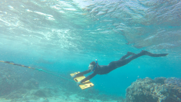 NOAA diver conducts towboard surveys at Midway Atoll. 