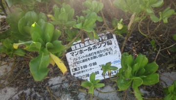 Sign from a sewage treatment center found on Eastern Island, Midway Atoll National Wildlife Refuge.