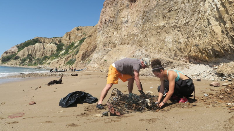 Two adults kneel on the beach and are digging out a metal lobster trap from the sand.