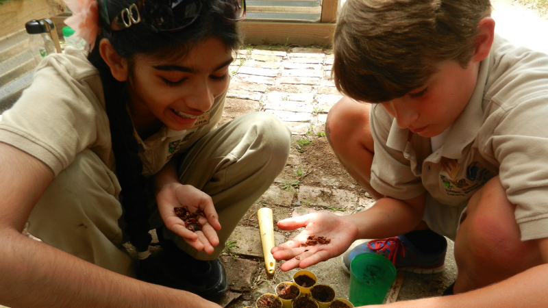 2 students kneel down on the ground with seeds in their hands while they plant them in small dirt containers