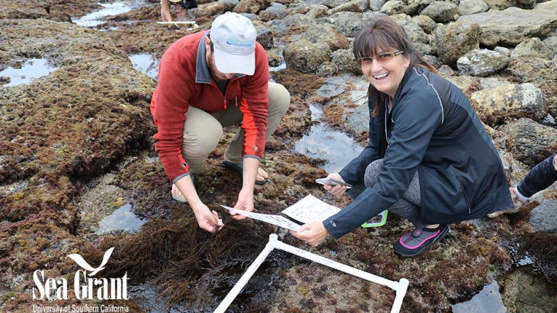 Help capture the biodiversity along our coast by taking photos of plants and animals! BioBlitzes like the Snapshot CalCoast Bioblitz are citizen scientist-driven surveys that record all living things in a particular area.