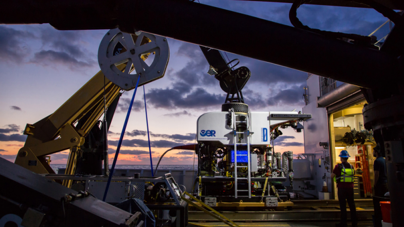 The remotely operated vehicle Deep Discoverer (D2) will be used to image unexplored areas of the Blake Plateau, Blake Ridge, Blake Escarpment, submarine canyons offshore of North Carolina