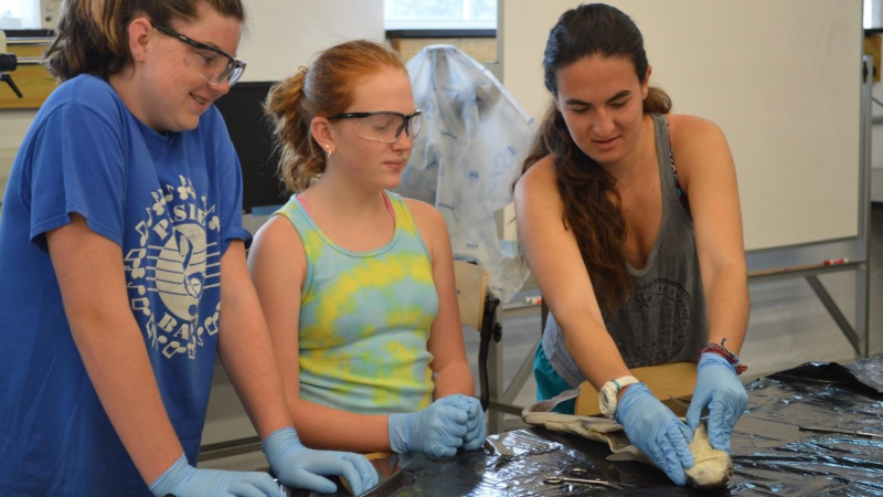 Sophia Macvittie, a marine science major at Eckerd College, spent the summer of 2018 working in Virginia at the Chesapeake Bay National Estuarine Research Reserve. Her project focused on making estuary related material more accessible to elementary School students. She began by writing up lesson sets and differentiating programs generally used for middle schools in order to convey the same themes and concepts in a way that younger students would be able to connect with. Lesson plan topics included