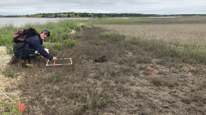 Sophia Courtney, a 2018 NOAA Hollings scholar, kneels in the marsh while performing crab burrow count surveys. She is surveying Sage Lot Pond within the Waquoit Bay National Estuarine Research Reserve in Cape Cod, Massachusetts.