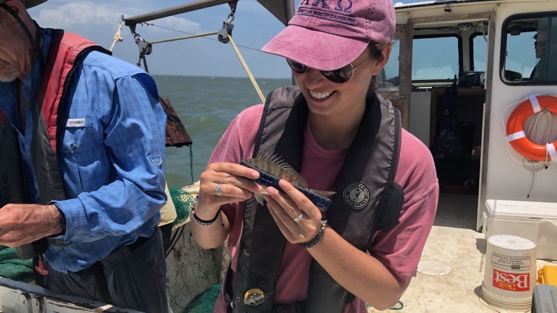 Savannah Weber, a 2018 NOAA Hollings scholar, helped conduct a fishery trawl during her summer internship. Weber counted and measured the lengths of the first 20 individuals of each fish and invertebrate species. The data collected is used to monitor the fish and invertebrate populations in the Apalachicola Bay.