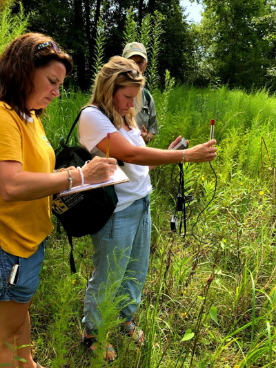 Teachers test light levels using a Vernier light sensor. Data was collected near the pond at Tuten Park in Lake Charles, Louisiana, during the 2019 summer training for teachers.