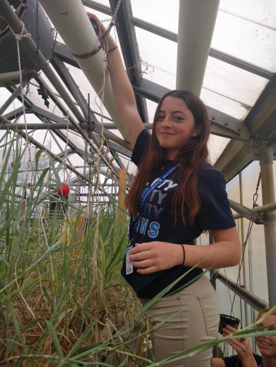 A student from Bell City High School plants bitter panicum at the Lake Charles Boston Academy Aquaponics Lab.