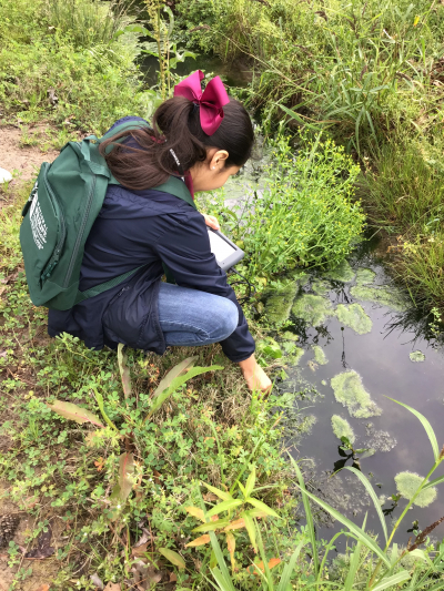 A student from S.J. Welsh Middle in Lake Charles takes temperature readings in the pond at Tuten Park as part of her Meaningful Watershed Educational Experience.