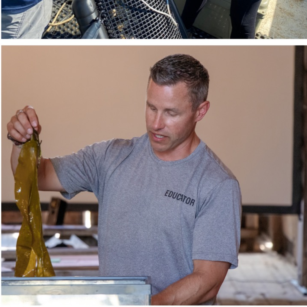 A collage of photos each showing an activity from the eeBLUE aquaculture literacy mini-grants. Activities shown range from observing and tending to oysters to cooking seafood and talking with teachers