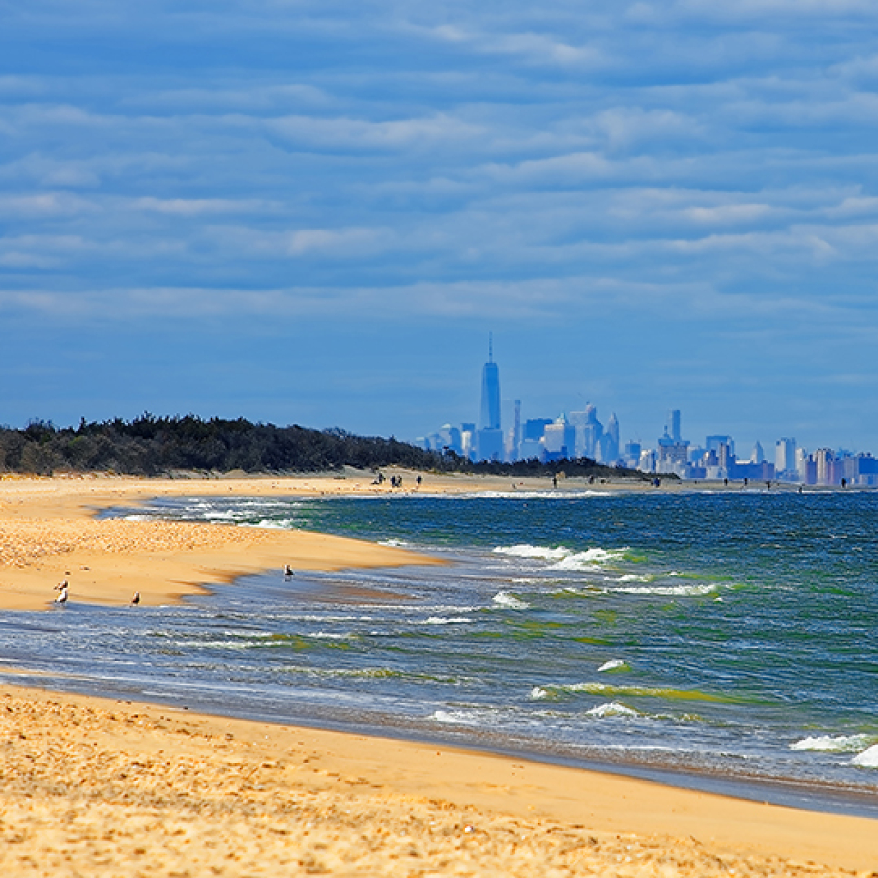 A coastal beach shoreline with a city and skyline in the background.