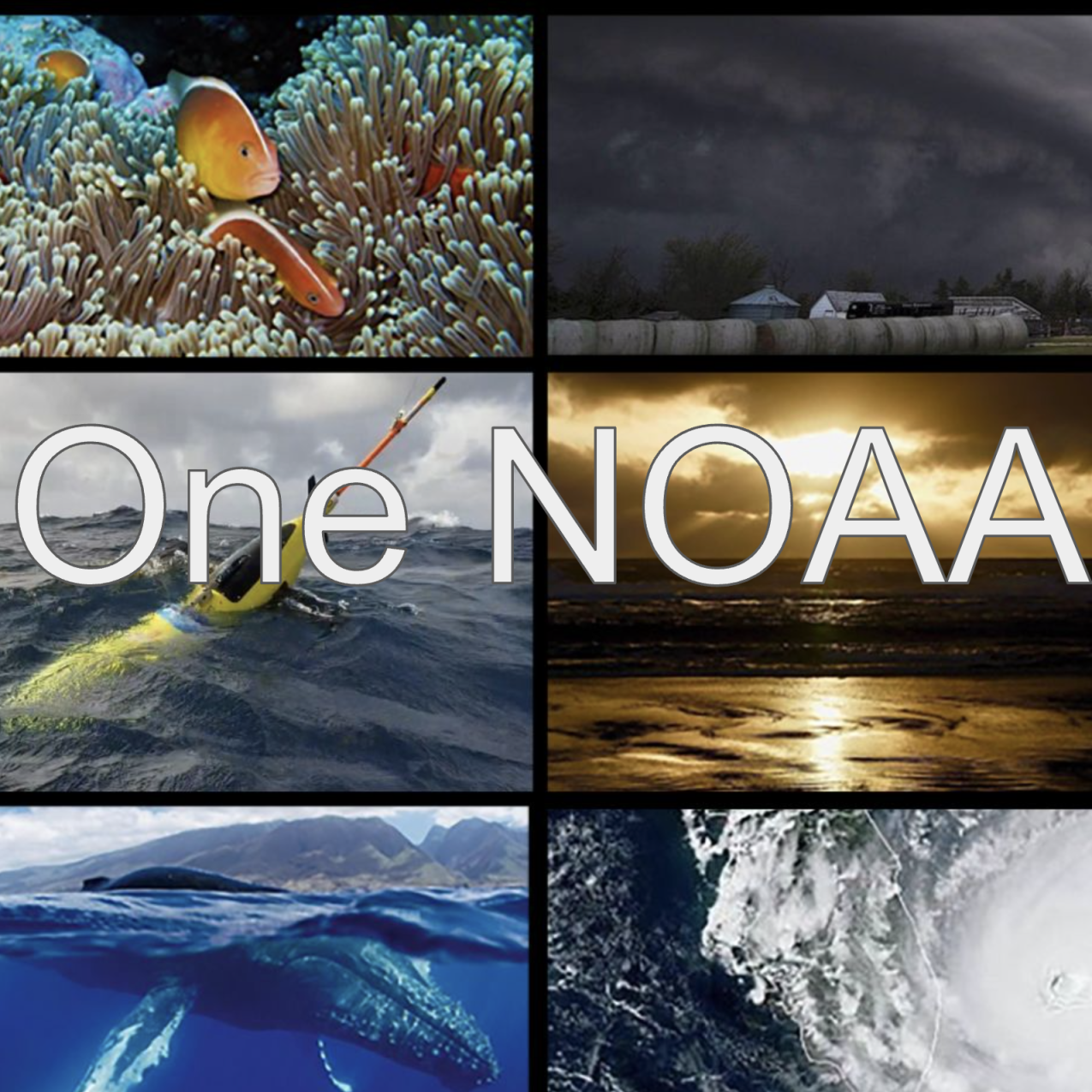 A grid of photos featuring NOAA-related topics including fish, storms, weather balloons, a whale, a hurricane, a NOAA ship, sea turtles, a buoy, and a sandy beach. Text: One NOAA, One Earth.