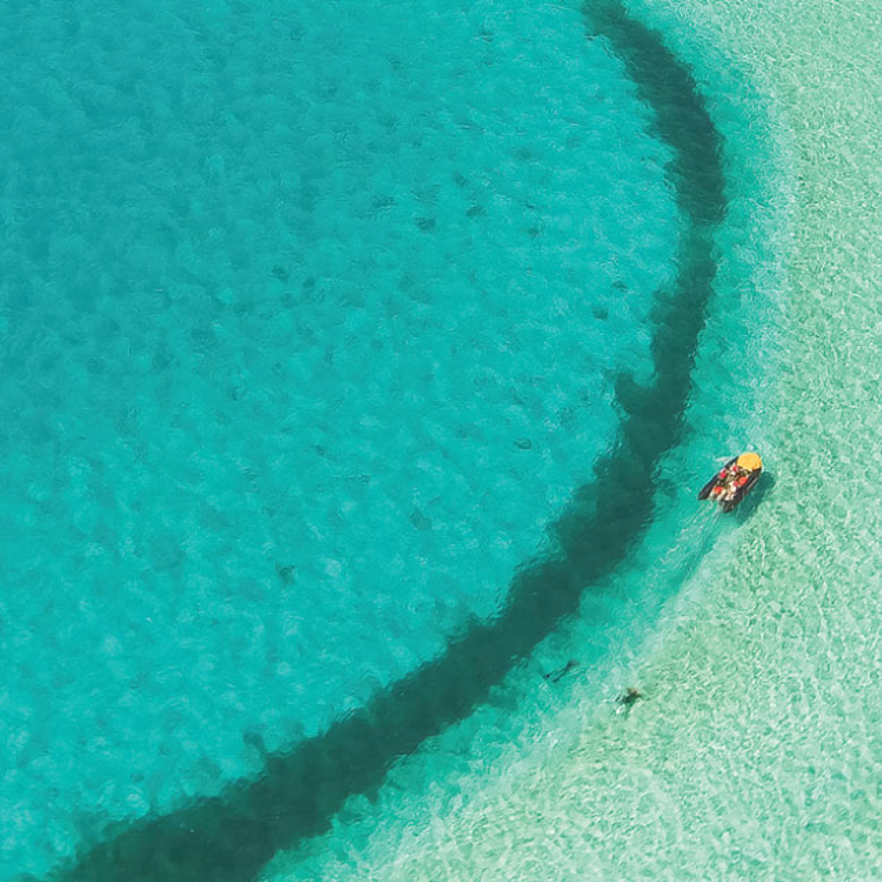 An aerial view of crystal clear green-blue water. A boat slowly moves in a circle with two people in the water snorkeling behind the boat.