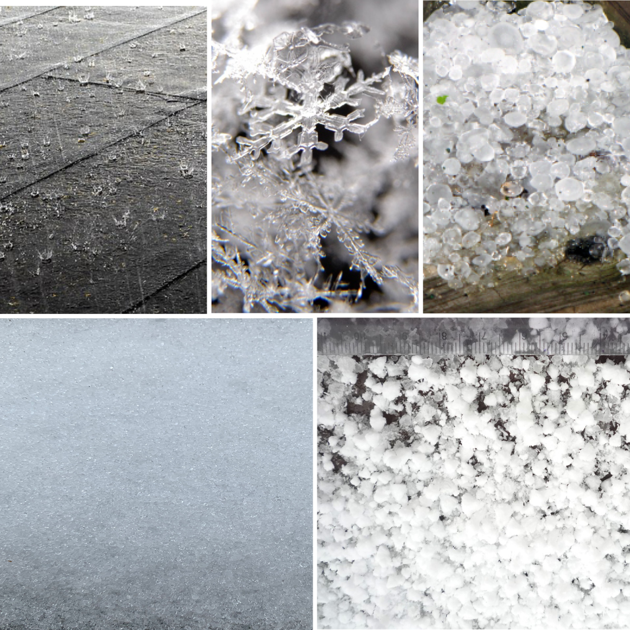 Five photos in a grid: rain falling on a roof, snow crystals, a pile of hail, sleet accumulated on the ground, a pile of graupel.
