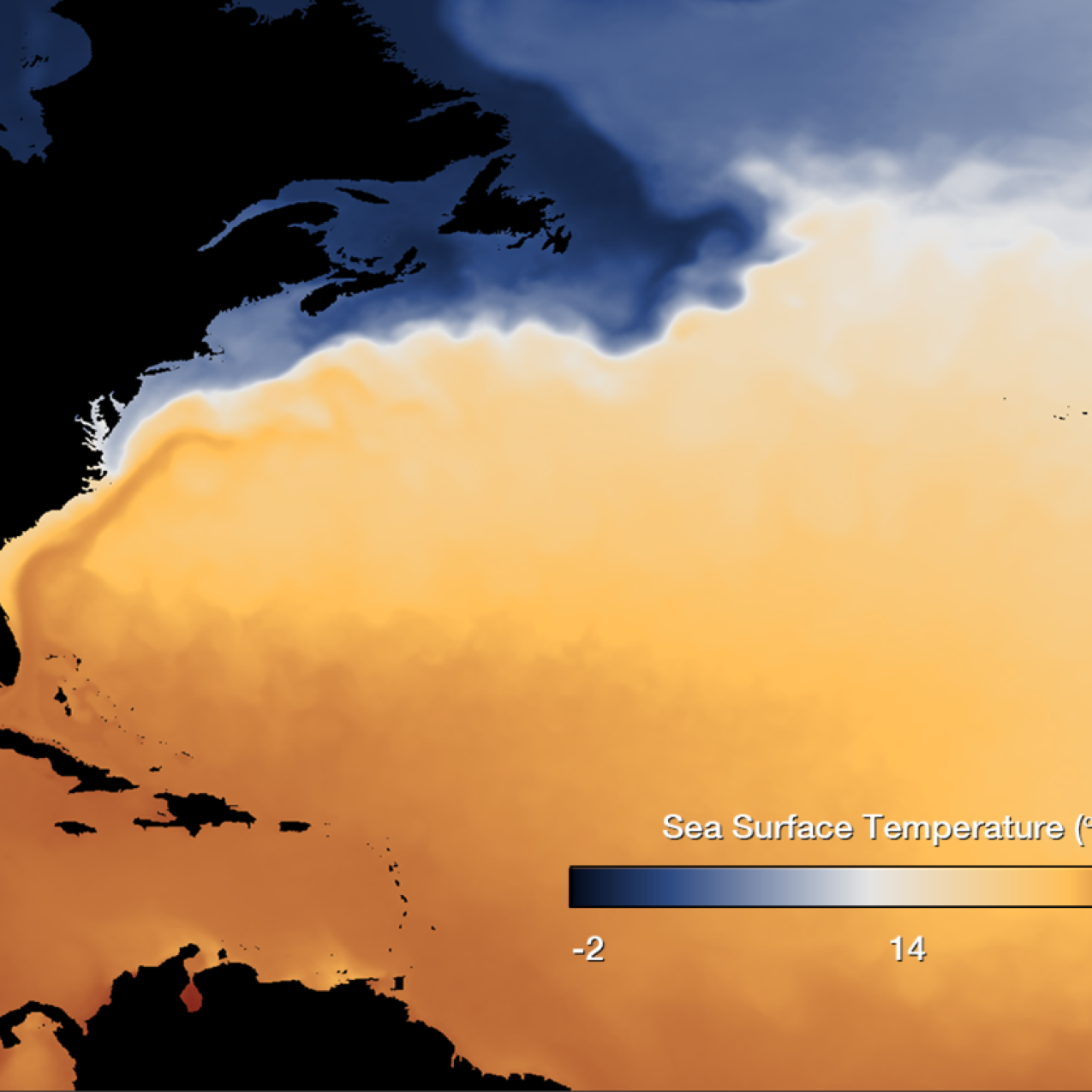 A map showing sea surface temperature in the North Atlantic Ocean. Warmer and cooler waters are shown in contrasting colors and all water south of the Gulf Stream current is much warmer than the water north of it.