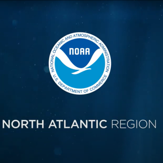 North Atlantic video screenshot