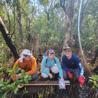 Three people in fieldwork clothes squat down in a mangrove forest, proudly posing behind a soil core that is nearly as long as a meter stick they are using to measure it. 