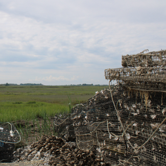 Empty oyster cages are stacked next to a small pile of oyster shells. The photograph looks past the oyster cages at a marshy landscape.