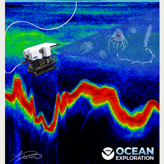 A digitally illustrated poster that shows a water column represented as visually noisy acoustic data. On top of the water, a NOAA vessel rests in the water. The deep scattering layer is drawn about a third of the way down the water column. Towards the bottom of the poster, the backscattering response implies sea floor bathymetry that varies in depth. An ROV located in the deep scattering layer is connected by a wire to the NOAA vessel. Gelatinous marine organisms are drawn in the ROV's line of sight.