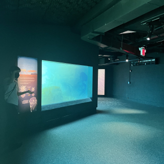 Isaac stands next to an ocean acidification display in an empty room. He holds his hand over his eyes and shrugs the other hand as if looking around in confusion.
