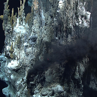 This gushing hydrothermal vent was captured on camera for the first time on May 1, 2016, during the Deepwater Exploration of the Marianas. The 30-meter-high underwater vent was spewing high-temperature liquid thick with metal particulates. The area around it is home to exotic species including Chorocaris shrimp, Munidopsis squat lobsters, Austinograea crabs, limpets, mussels and snails. 