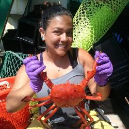 Stephanie smiles, holding a live crab in her gloved hands. 