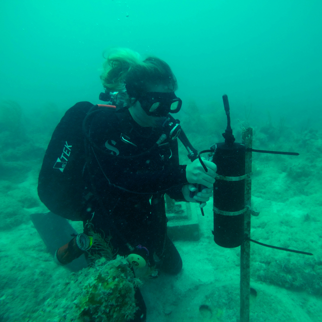 A reseach diver collects data from an underwater sound recorder in Florida Keys National Marine Sanctuary