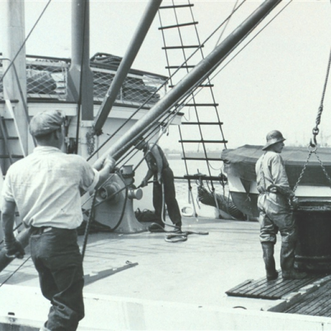 A 500-lb bucket of yellow-fin tuna ready to be offloaded from fishing vessel to a receiving trough for further processing. F&WL; 12,343. San Pedro, California. Undated image.