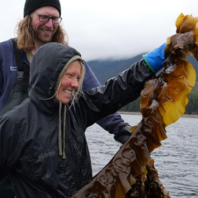 Jonny Antoni and Kaitlyn Tolin of Sea Quester sugar kelp farm outside of Juneau, Alaska.