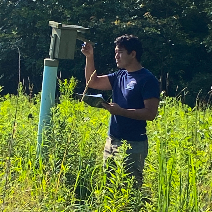 Keanu holds a clipboard in one hand and uses the other to lift up a door on the front of a wooden nesting box. The box is is mounted on a pole in waist-high vegetation.