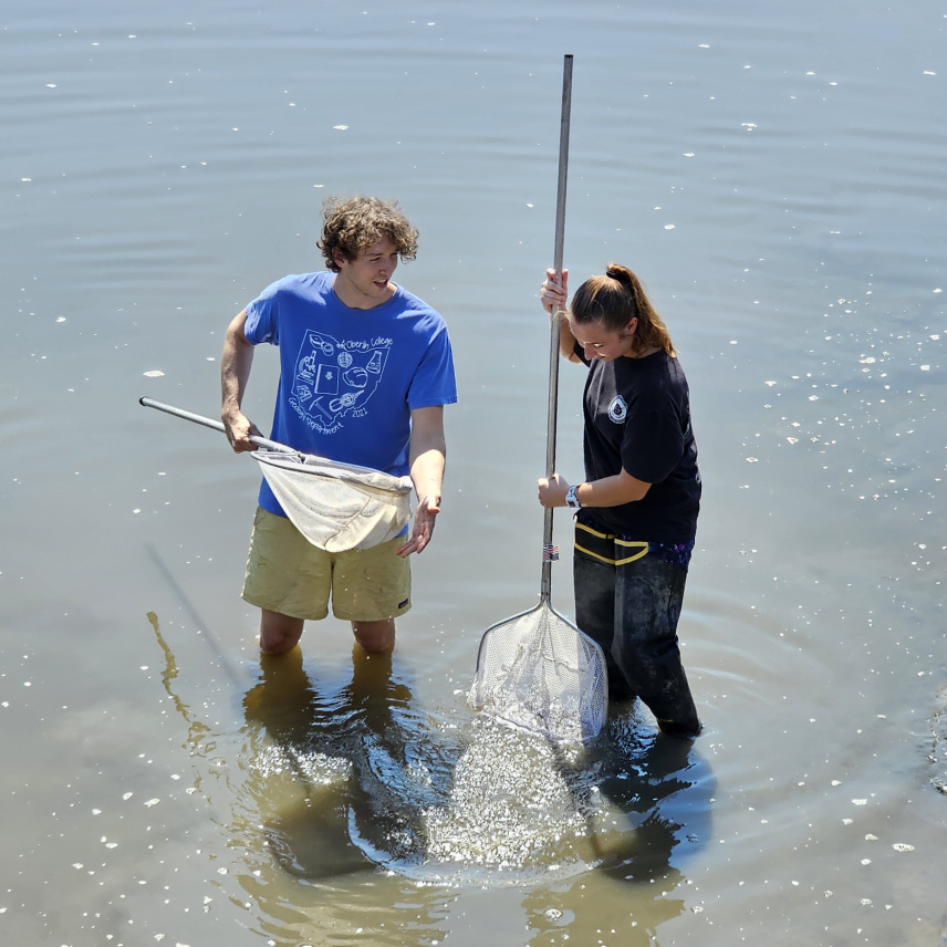 Makayla and Chas stand in knee-deep muddy water holding sampling nets. Makayla looks down as she dips her net into the water and Chas looks on.