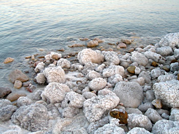 Salt crusted rocks along the shore of the Dead Sea. (Photo courtesy of Ben Weiger)