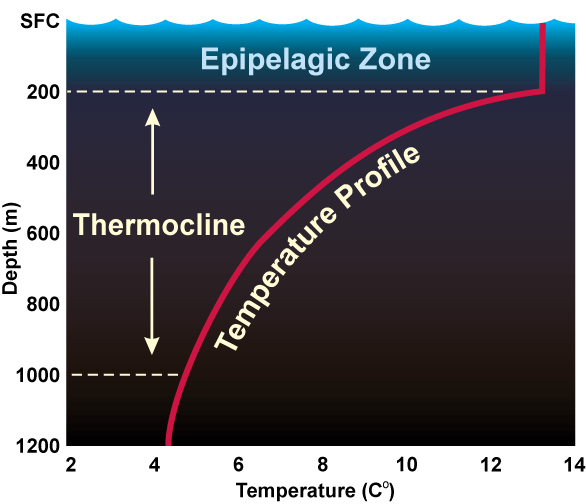 Typical seawater temperature 