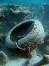 Tire on dead reef