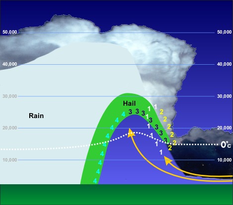 Same cross-section as before but showing an idealized path of hail within cloud.