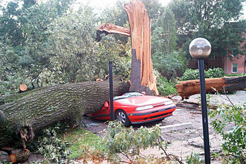 Car crushed by a fallen tree in Memphis, TN during the Mid-South Derecho of 2003. The Commercial Appeal staff photo by Alan Spearman, used with permission.