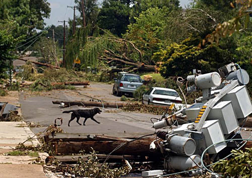 View of Linden Avenue west of Barksdale Street on Friday afternoon, July 25, 2003, in Memphis, TN three days after the "Mid-South Derecho of 2003".