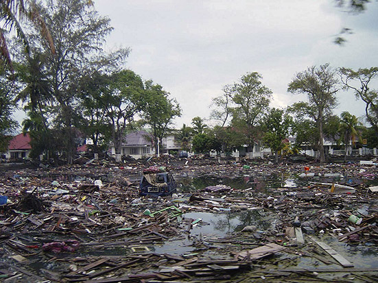 tsunami damage people
