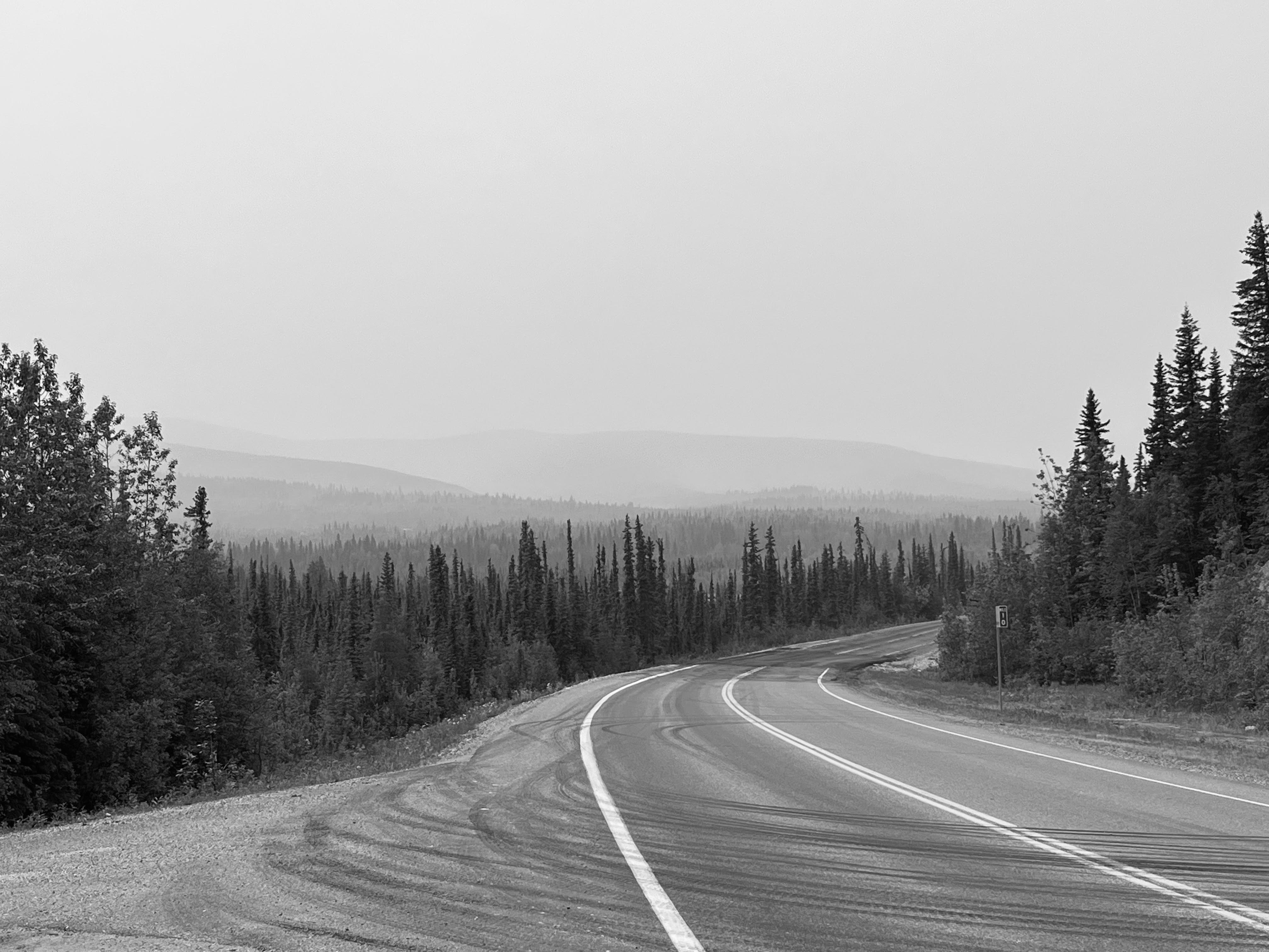Black and white photo of a two lane road that bends to the right, separating a forest of short, but dense evergreens rising along a gentle incline to the right. The forest extends in the background, eventually blending into foggy rolling mountains. Multiple tire tracks cut across the road, suggesting wide turns.