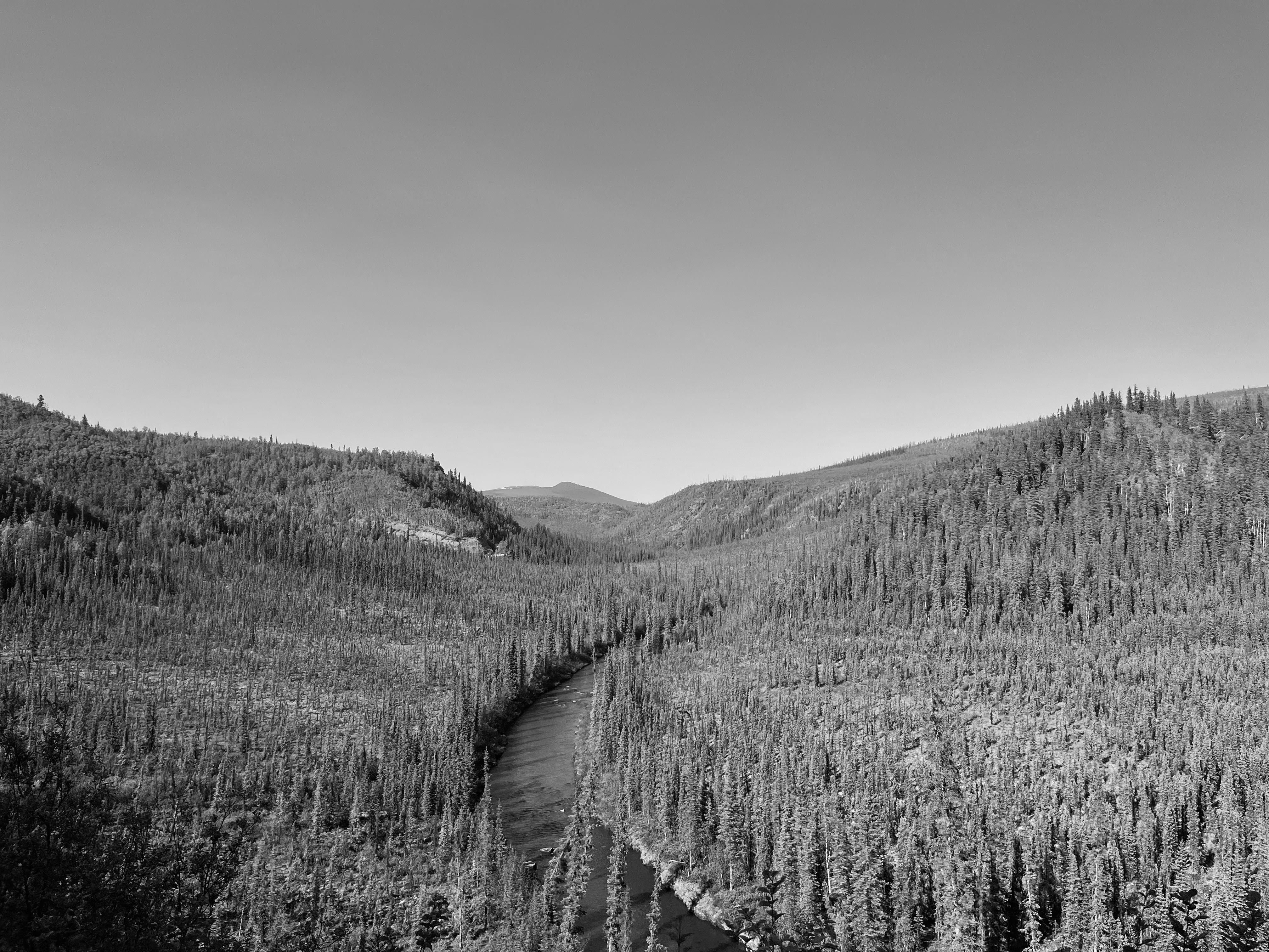 A black and white photo of a forest of evergreens closely surround a narrow river. The calmness and dark color of the river, and its clean shoreline against the forest makes the river look similar to a narrow road. Beyond the river bend, the forest expands over mountains in the distance.