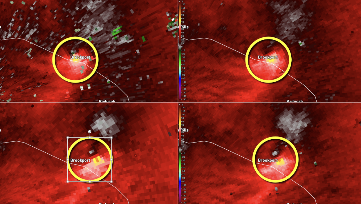 Base Velocity images from the four lowest elevation angles (clockwise from top left: 0.5°, 0.9°, 1.3°, and 1.8°).