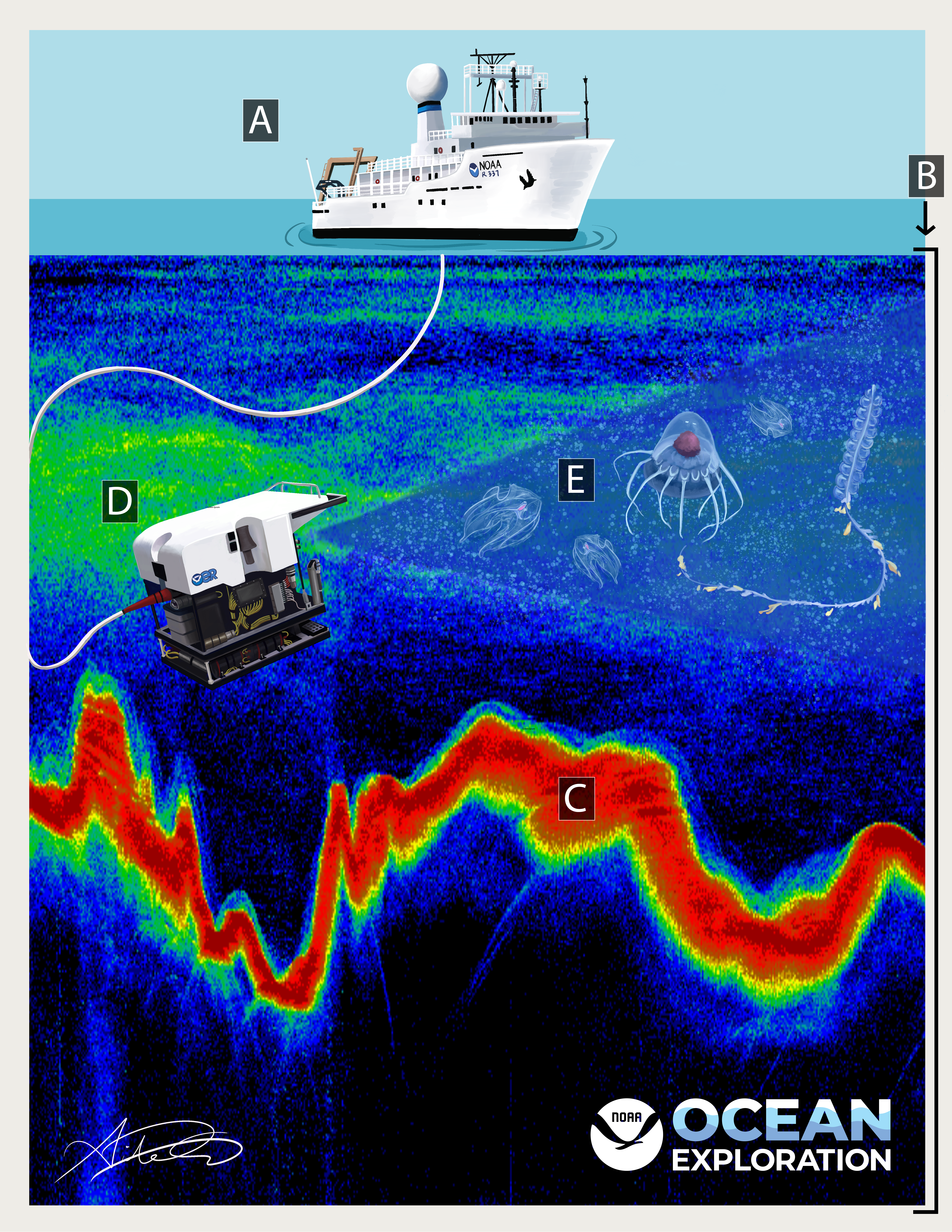 A digitally illustrated poster that shows a water column represented as visually noisy acoustic data (B). On top of the water, a NOAA vessel (A) rests in the water. The deep scattering layer (D) is drawn about a third of the way down the water column. Towards the bottom of the poster, the backscattering response (C) implies sea floor bathymetry that varies in depth. An ROV located in the deep scattering layer is connected by a wire to the NOAA ship. Marine organisms (E) are drawn in the ROVs field of view.