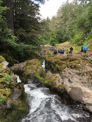 Teachers participating in the Nisqually River Foundation’s 2018 Summer Teacher Institute take water quality measurements in their local watershed.