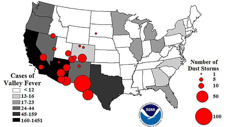 Dust storms spike with Valley fever cases. The nation’s largest number of dust storms from 1988 to 2011 are concentrated in the Southwest states – the same states reporting the nation's highest numbers of Valley fever cases, an infectious disease caught by inhaling a soil-dwelling fungus found primarily in the Southwest. (Valley fever 2011 data used).