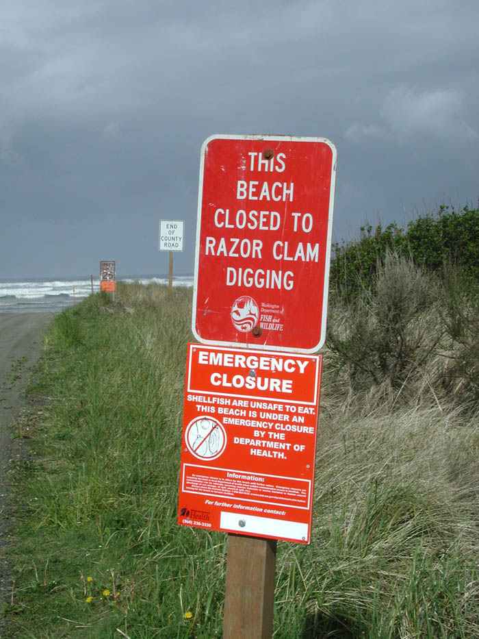 Razor Clam digging area closure sign along Washington state coast.