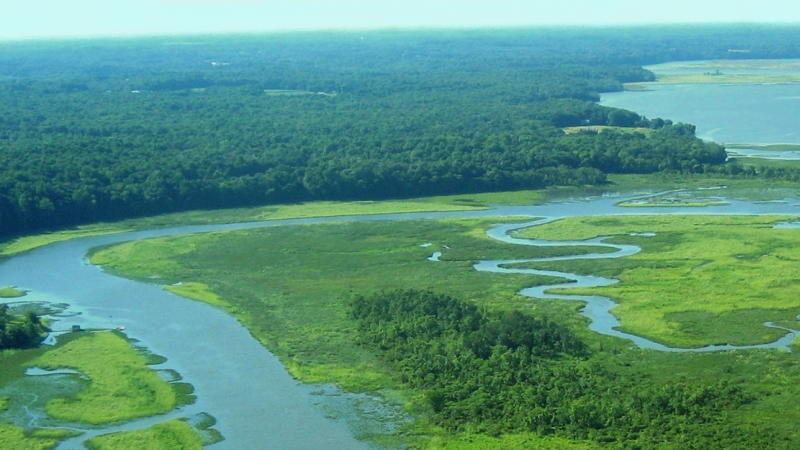 Aerial view of a Chesapeake Bay estuary