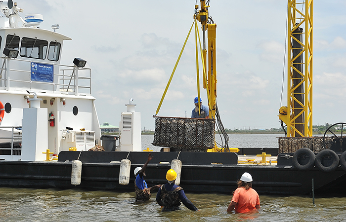 Workers place oyster reef structures along the coast of Louisiana.