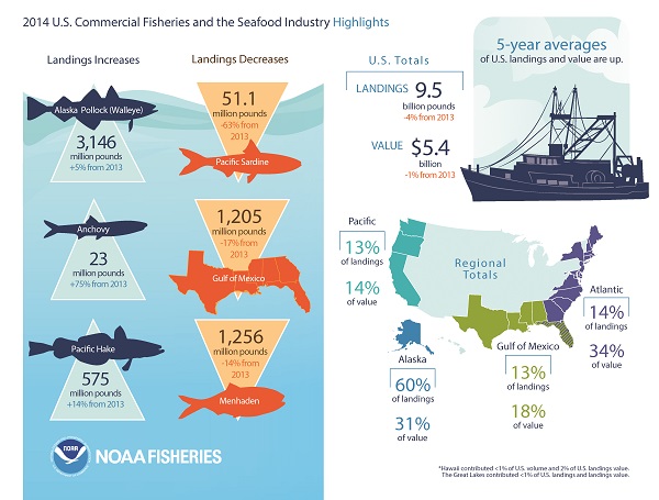 According to NOAA Fisheries economists, U.S. fishermen landed 9.5 billion pounds of fish and shellfish, valued at $5.4 billion, in 2014