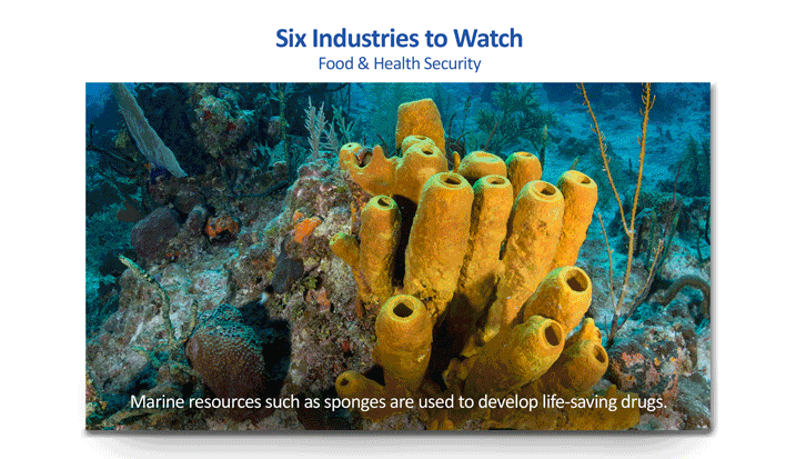 Six industries to watch in the marine economy — marine pharmaceuticals, aquaculture, autonomous underwater vehicles (AUVs), geographic information technology (GIS), renewable energy and smart technology.